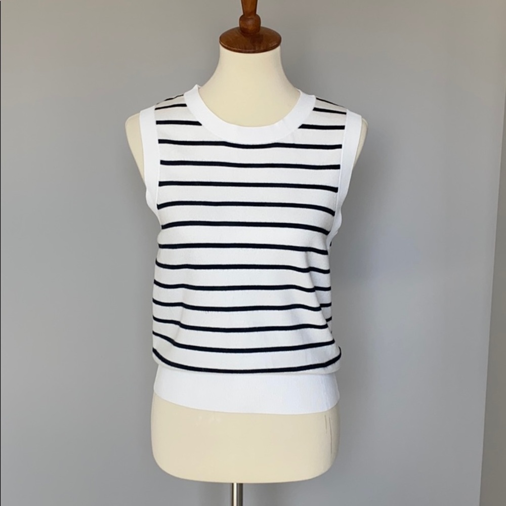 Club Monaco Knit Sleeveless ‘Jacqui’ Sweater